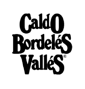 CALDO BORDELES VALLES