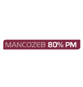 MANCOZEB 80% PM